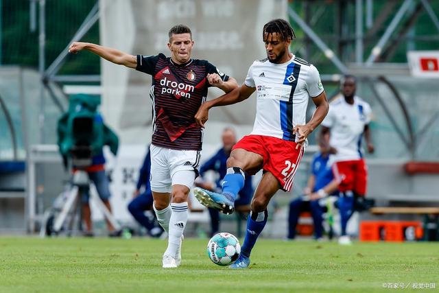 视的因素 视的因素